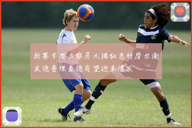 新赛季潜力球员大揭秘惠特摩尔谢泼德普理查德有望迎来爆发