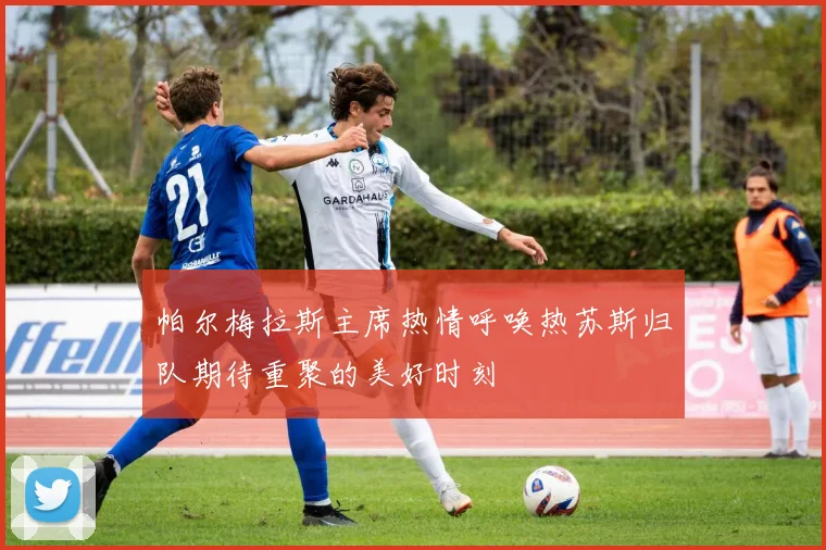 帕尔梅拉斯主席热情呼唤热苏斯归队期待重聚的美好时刻