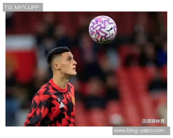 谢林汉姆认为梅努适合利兹联阿莫林的看法并不影响他的潜力