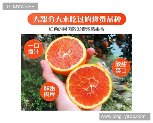 法甲本轮最佳阵容揭晓杜埃与塔利亚菲科领衔桑巴入选 法甲本轮最佳阵容揭晓杜埃与塔利亚菲科领衔桑巴入选