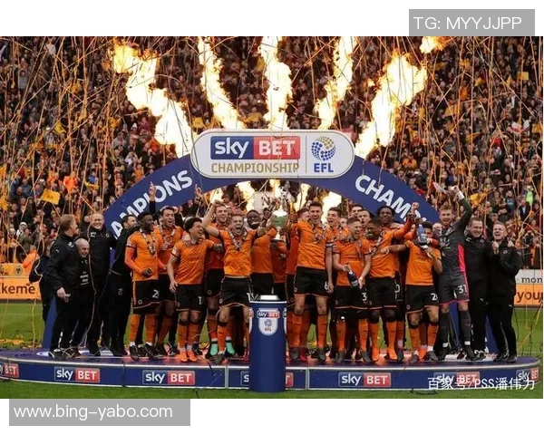 五大联赛之外的联赛身价排行榜巴甲和葡超领跑全球